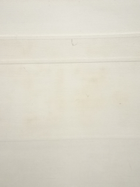 道具 ] - 道具 小寺雲洞筆 鮎 肉筆紙本掛軸（共箱）□z | ネット